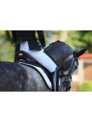 Amortisseur Winderen DRESSAGE