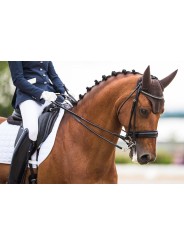 Amortisseur Winderen DRESSAGE