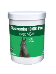 GLUCOSAMINE NAF