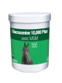 GLUCOSAMINE NAF