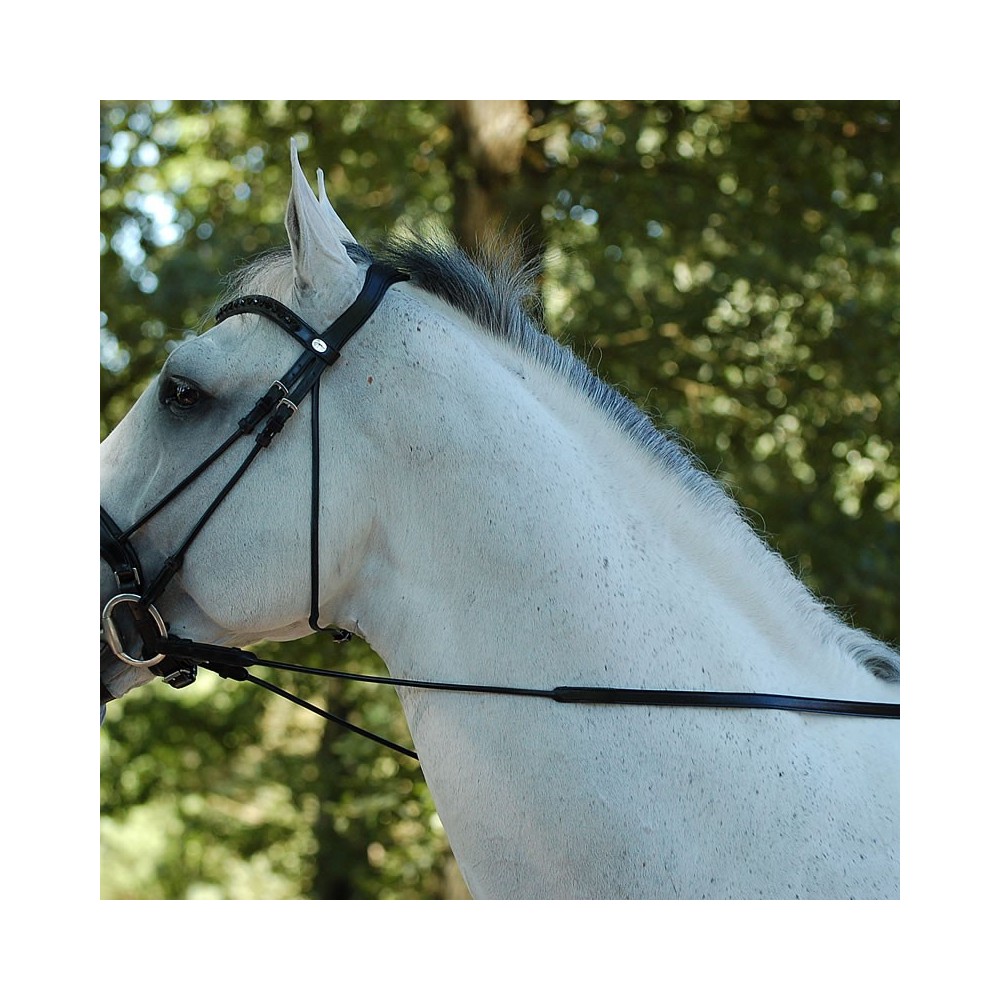 Rênes hunter dressage COLLECTION cuir rond