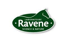 Ravene